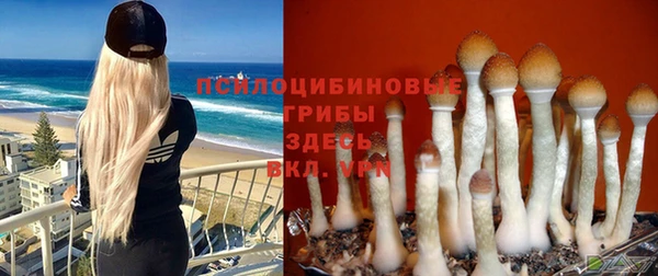 кокаин Михайловка