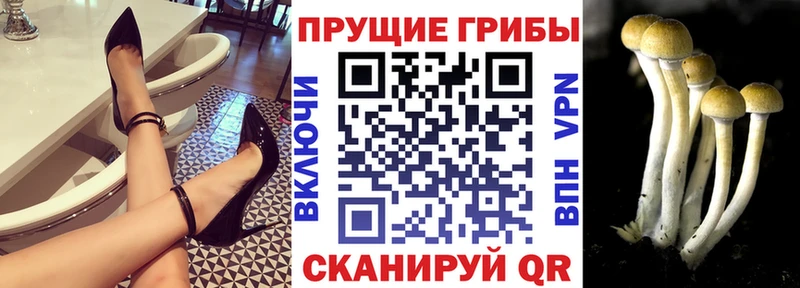 Псилоцибиновые грибы мухоморы  Купить где  Тула 